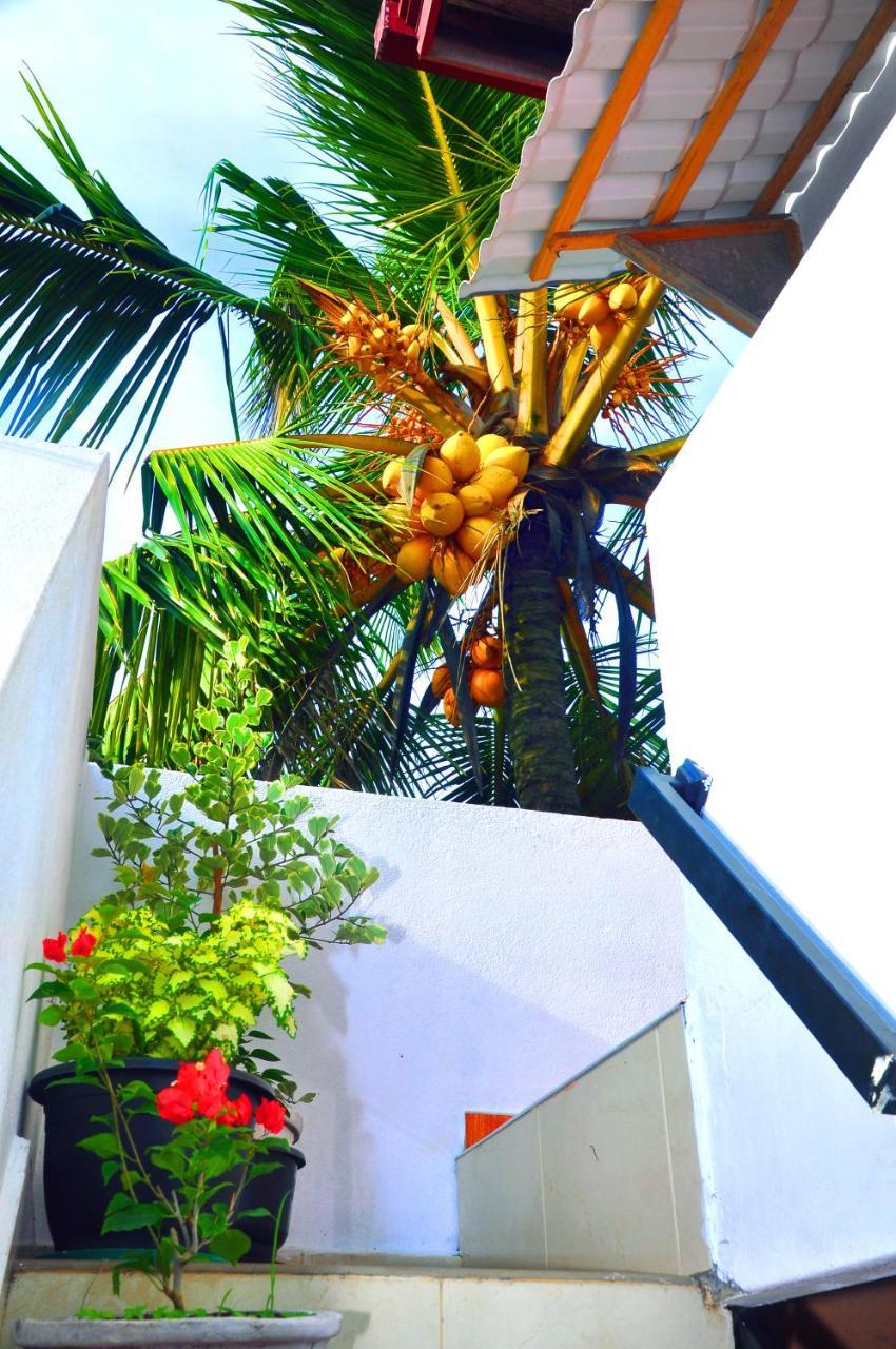 Senero House Hotel Bentota Luaran gambar